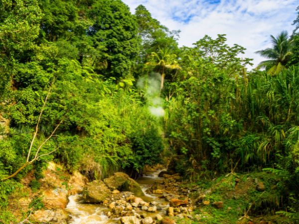 How Travellers Can Experience Morne Trois Pitons National Park in Dominica