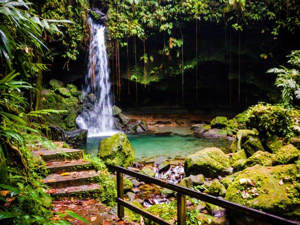 Top 10 Incredible Things to See and Do in Dominica for Curious Travellers